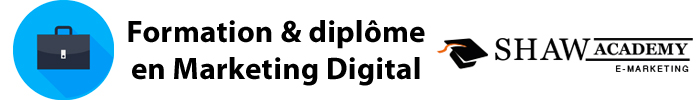 formation et diplôme en marketing digital