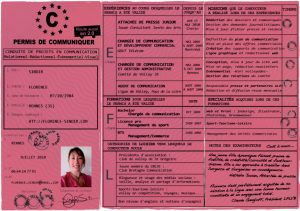 cv-permis-conduire