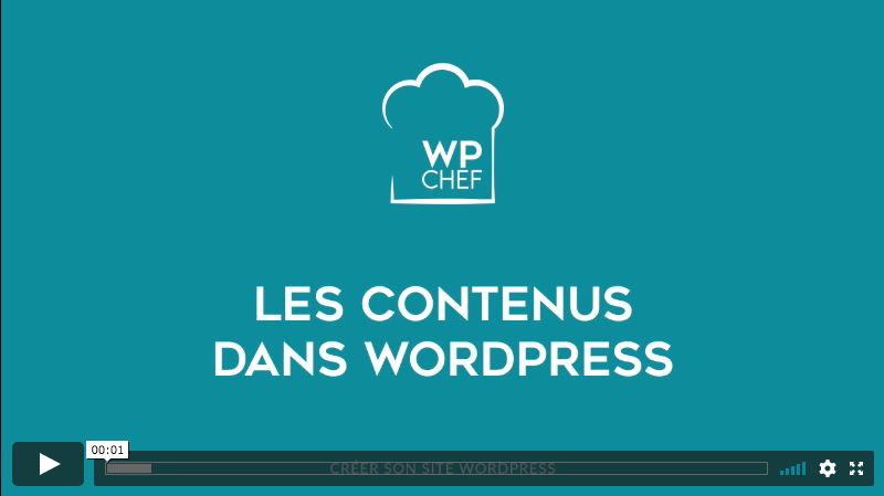 Exemple de cours vidéo WordPress : gérer les contenus