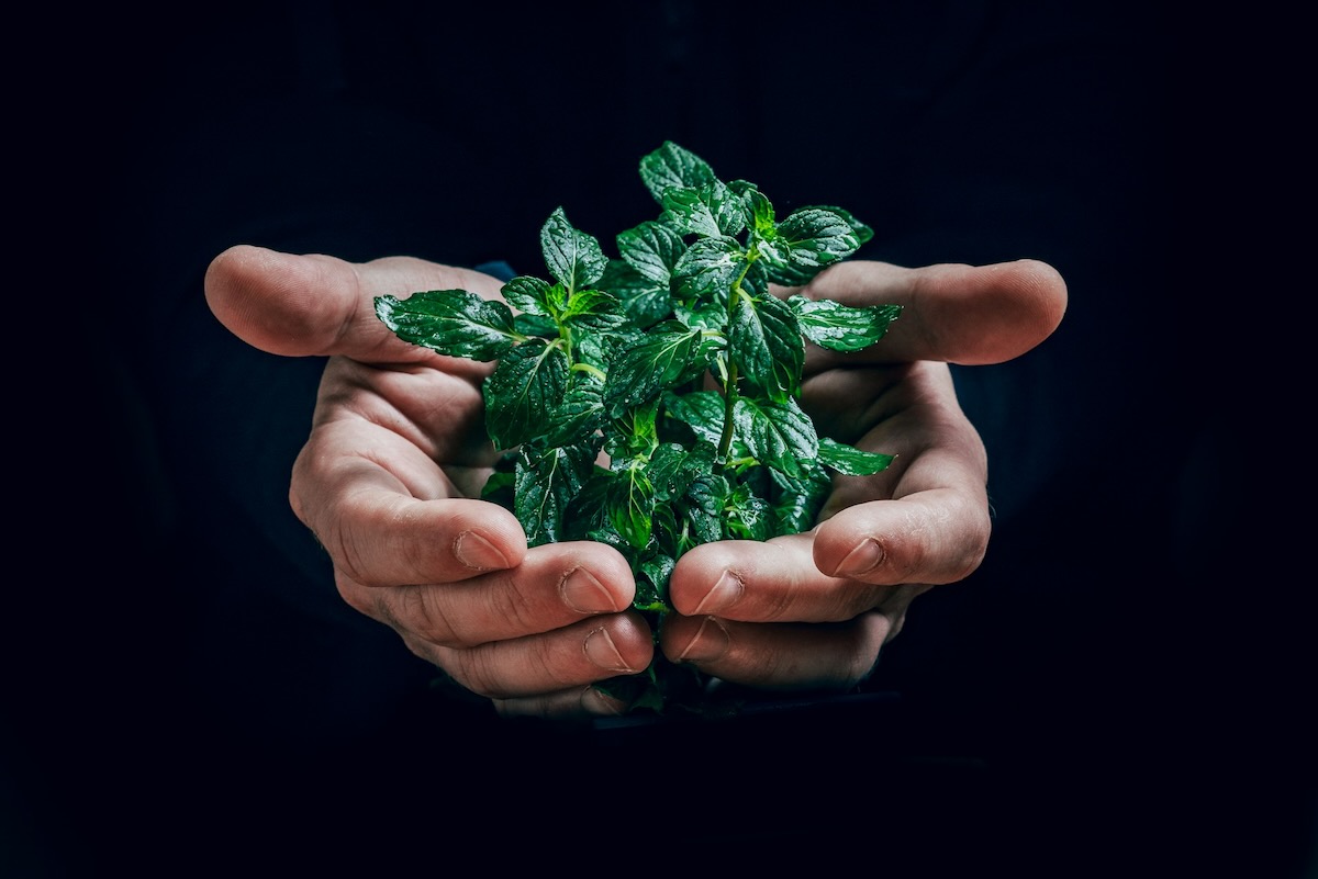 5 idées simples pour réduire son empreinte carbone dans les petites entreprise